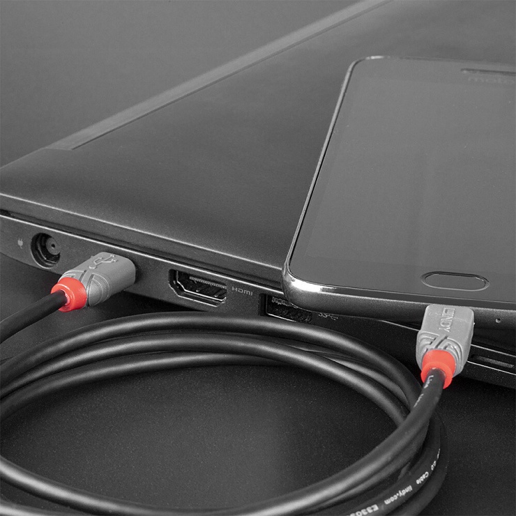 Imagine Cablu USB 2.0 tip C la micro USB-B T-T 1m Anthra Line, Lindy L36891